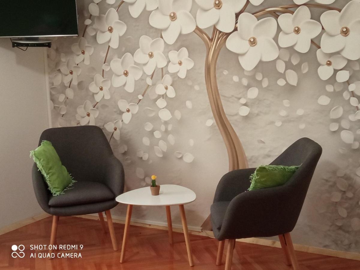 Studios Ana Mari Komiža Camera foto